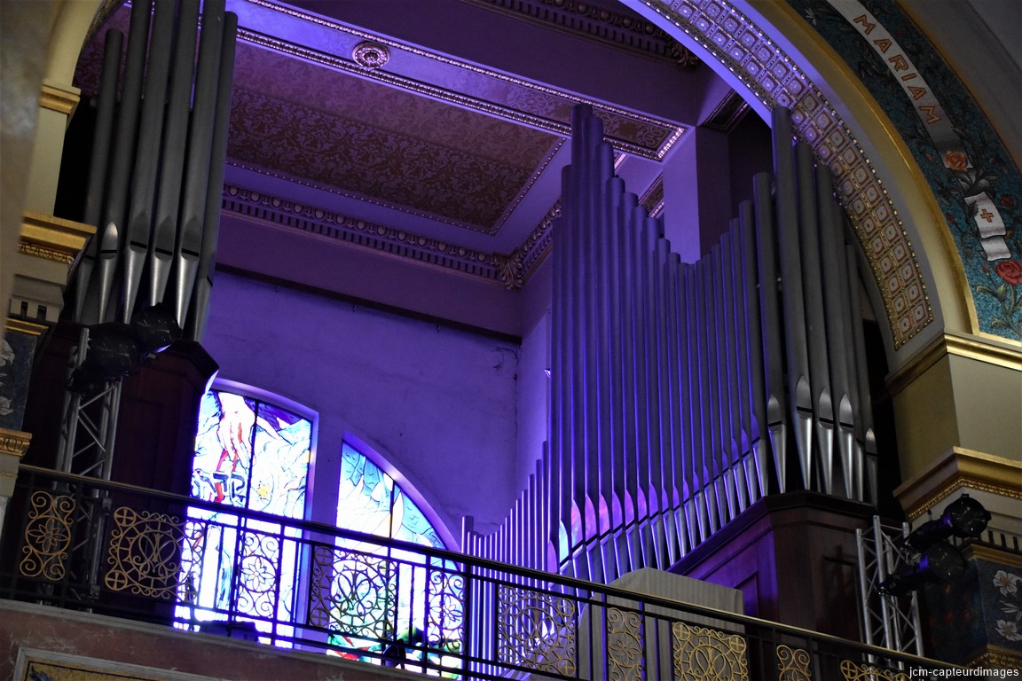 DSC_0017