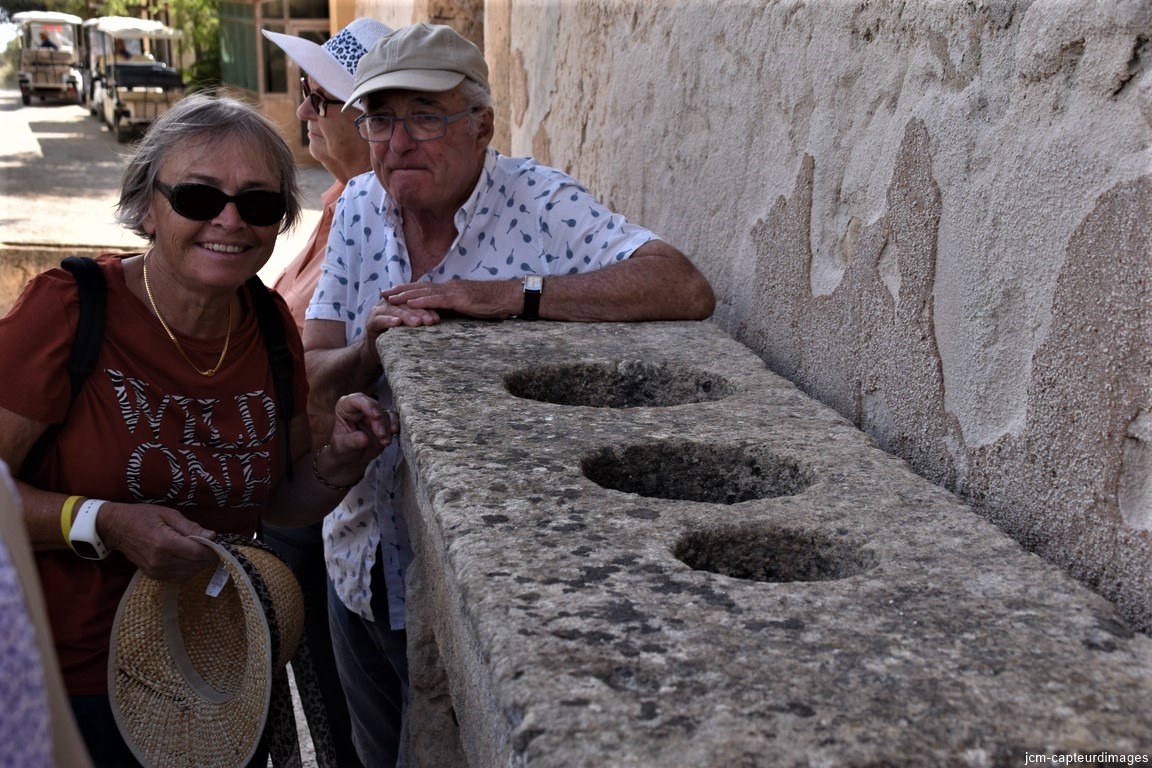 DSC_0042 (2)