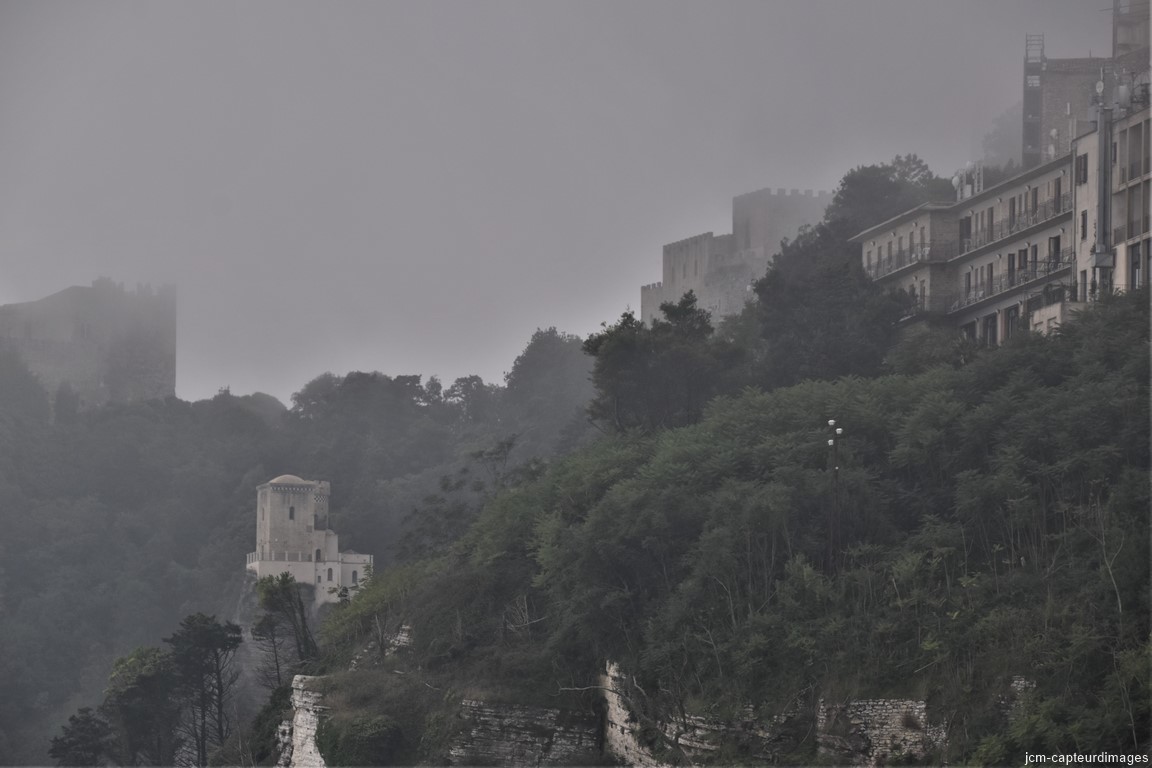 DSC_0081