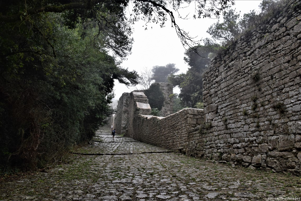 DSC_0090
