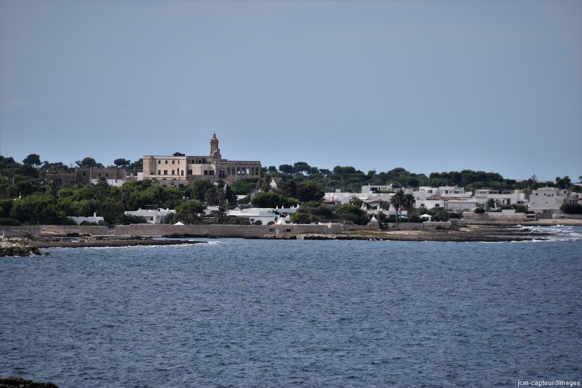 DSC_0100