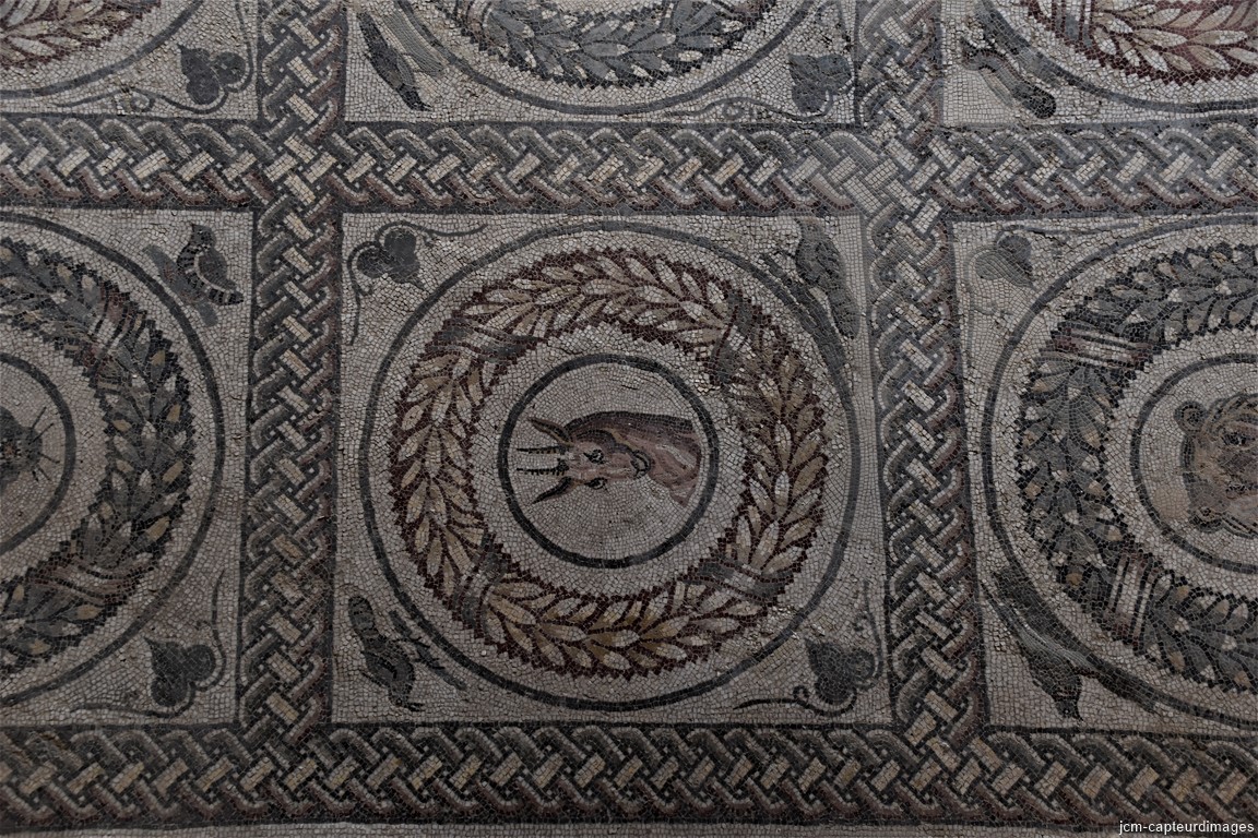 DSC_0124