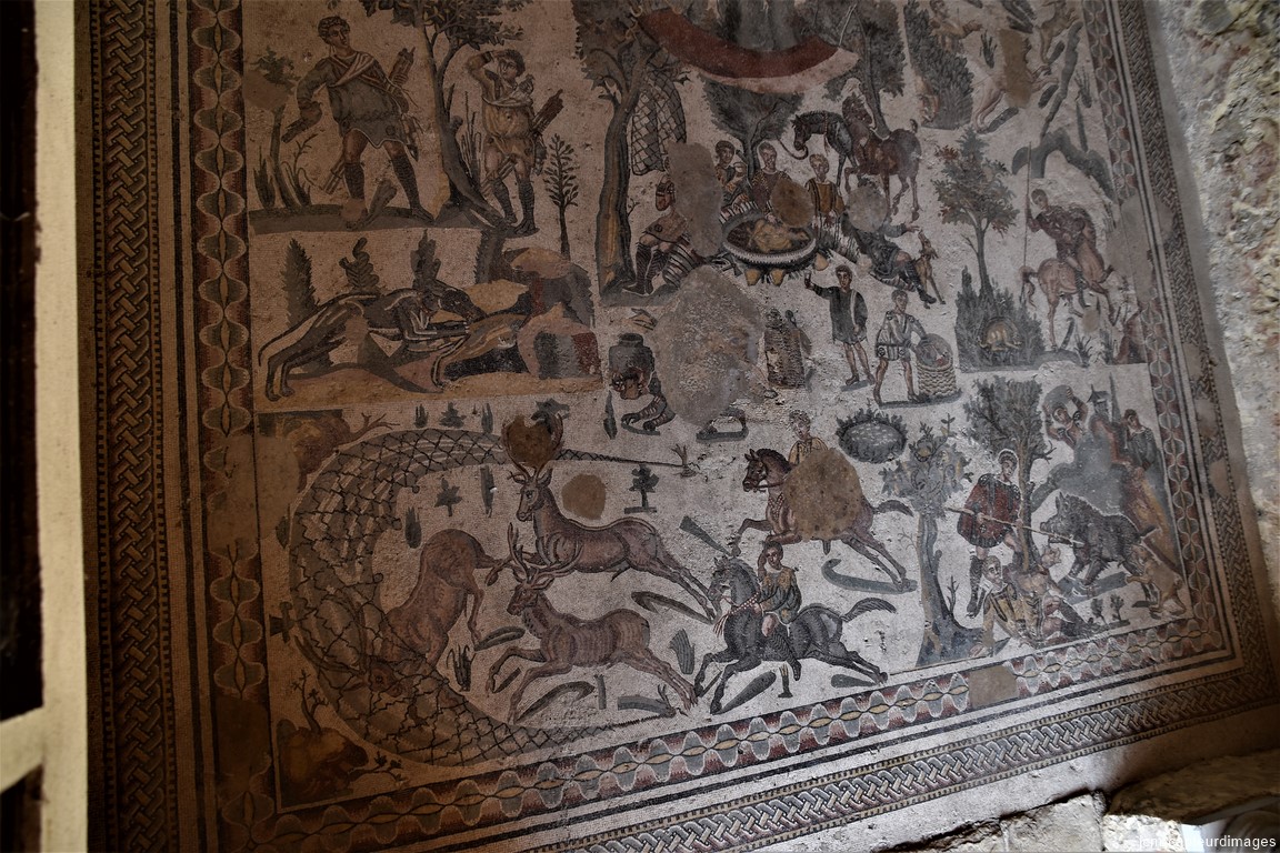 DSC_0130