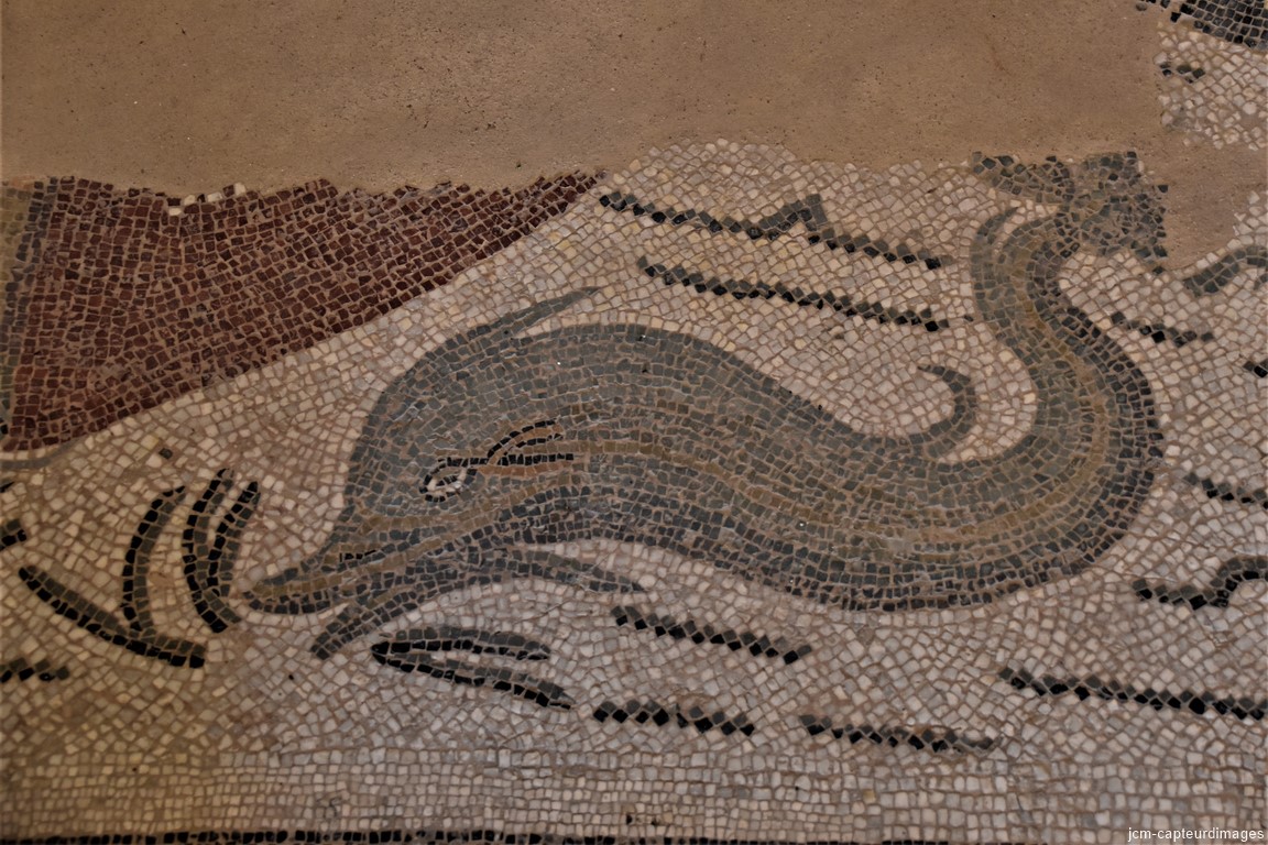 DSC_0147