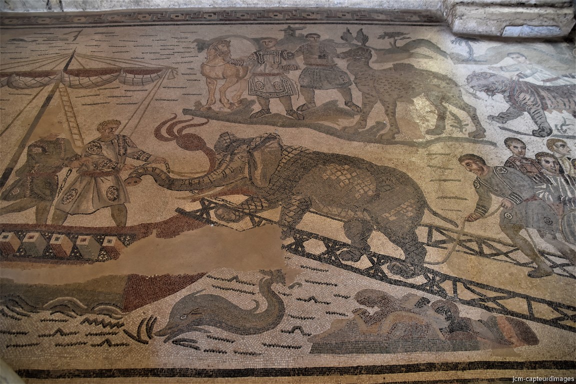 DSC_0148