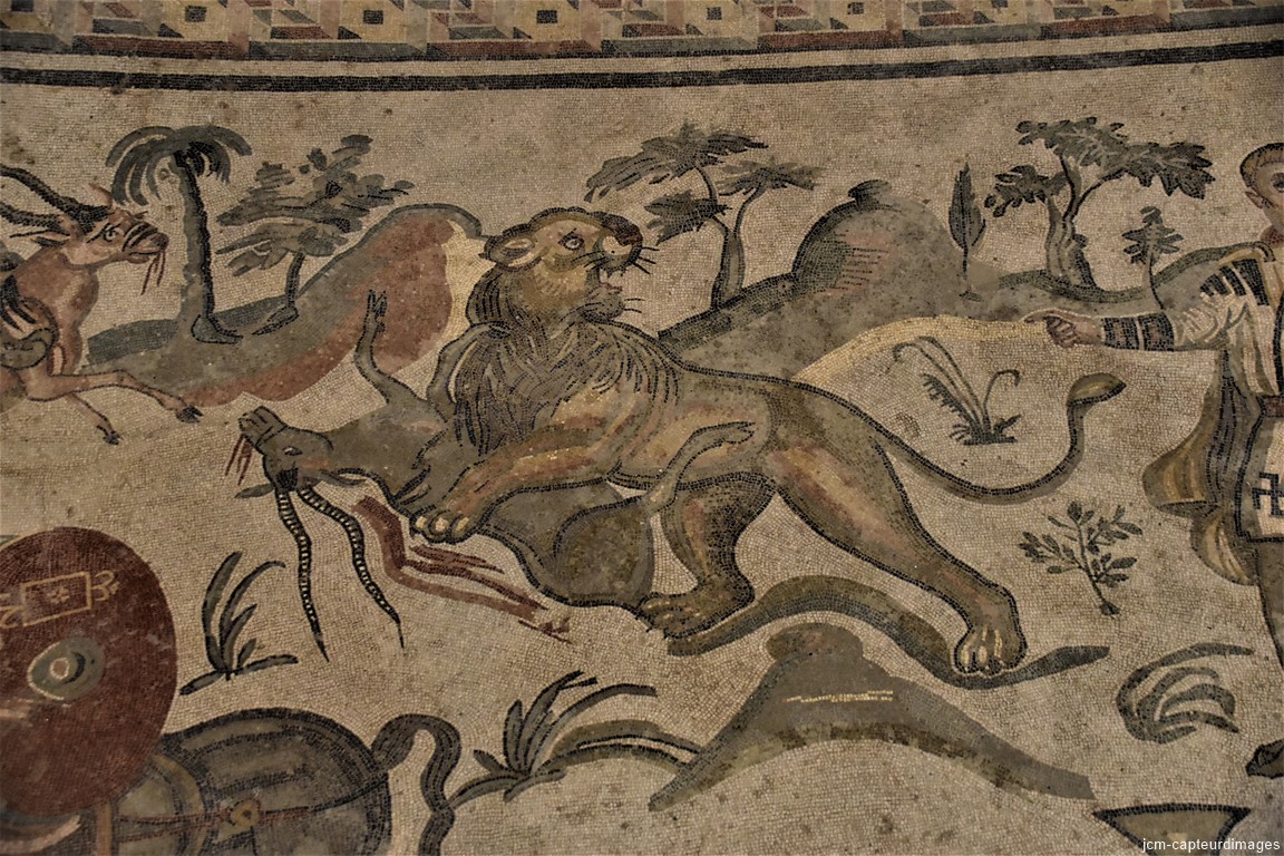 DSC_0160