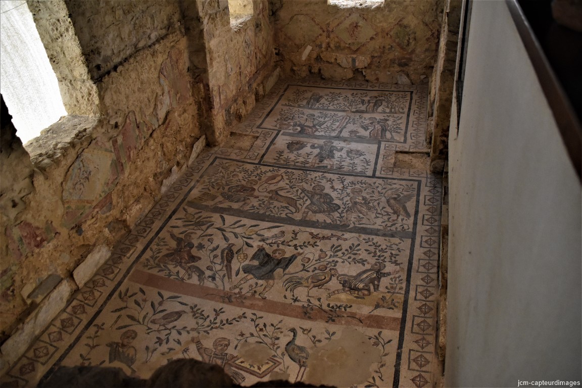 DSC_0181