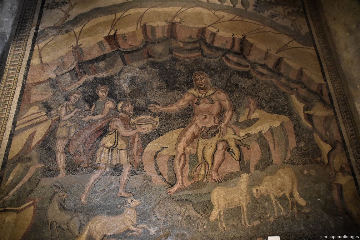 DSC_0195