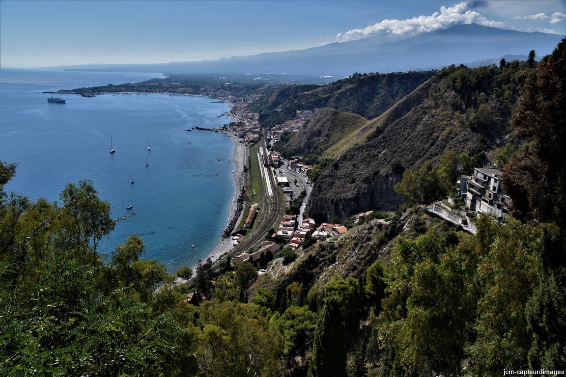 DSC_0203