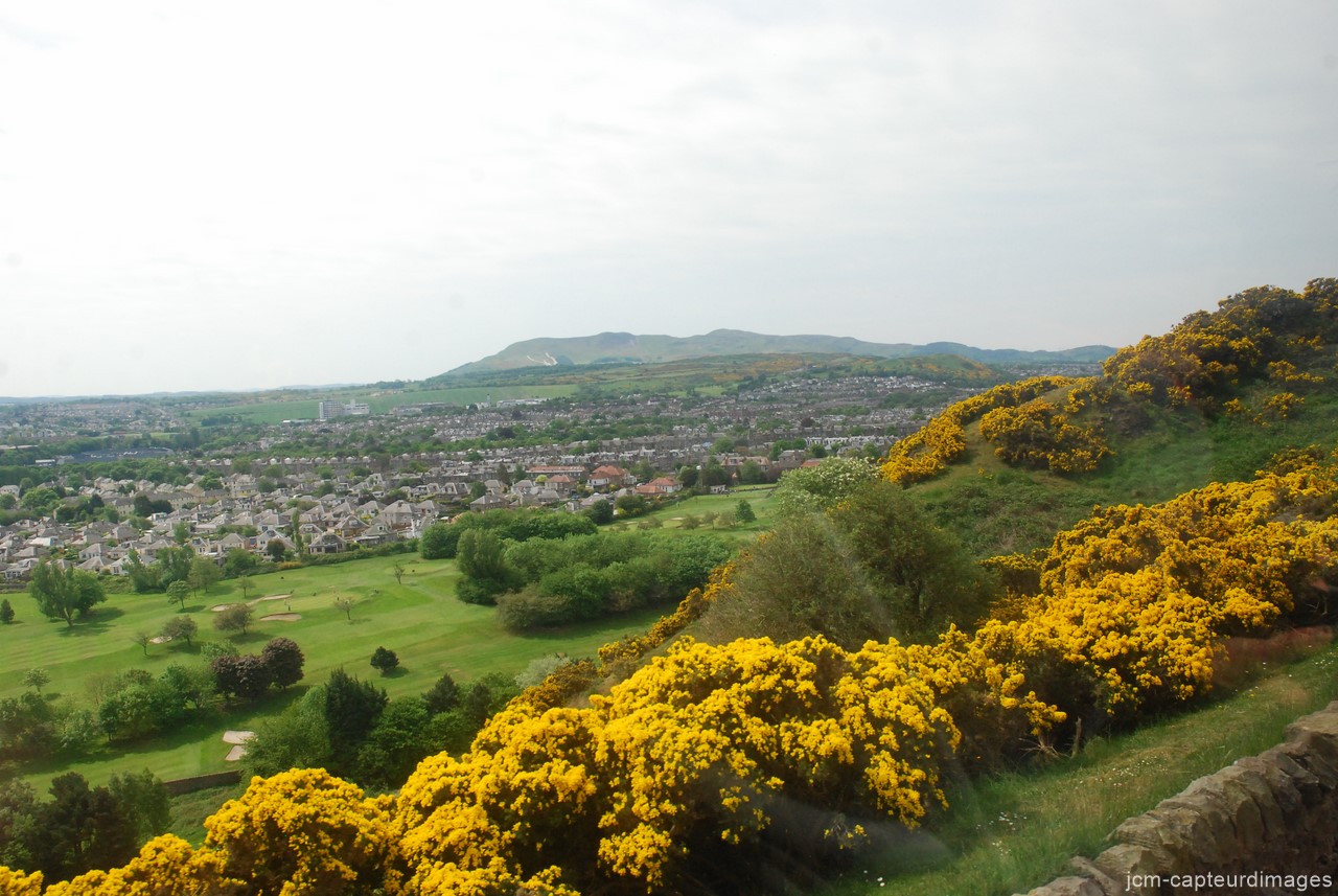 DSC_1711