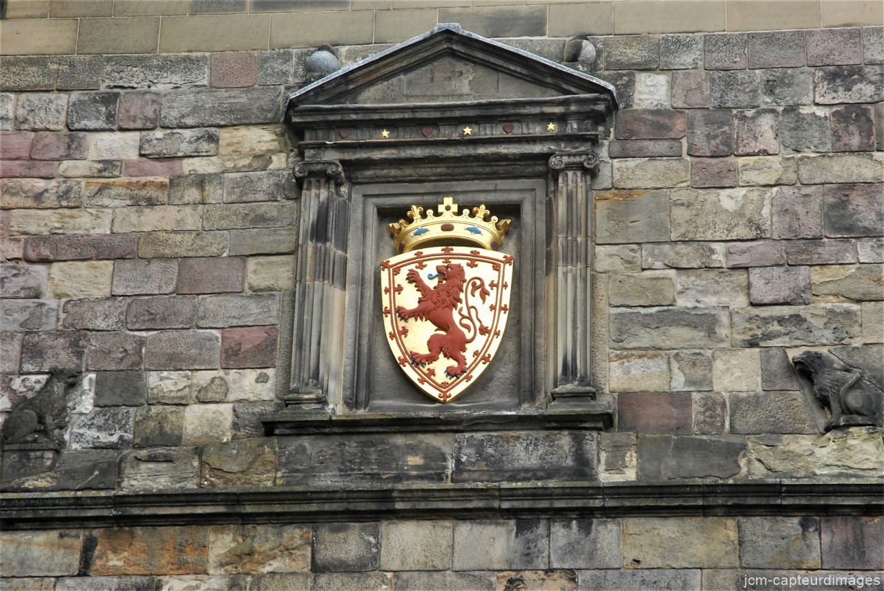 DSC_1798