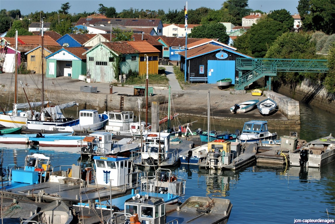 Dsc 25