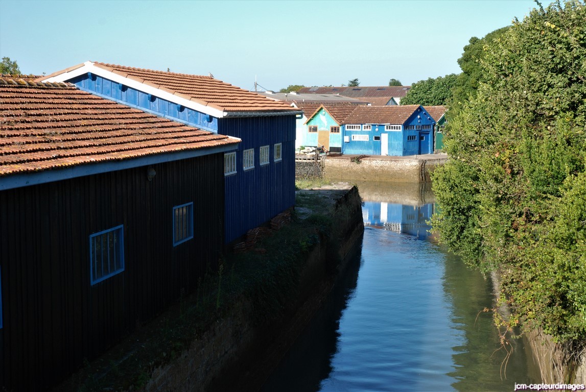 Dsc 33
