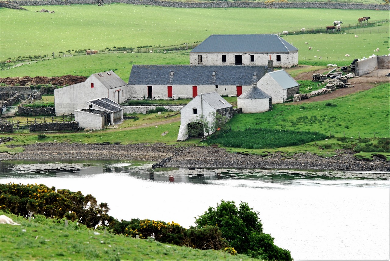 DSC_3379