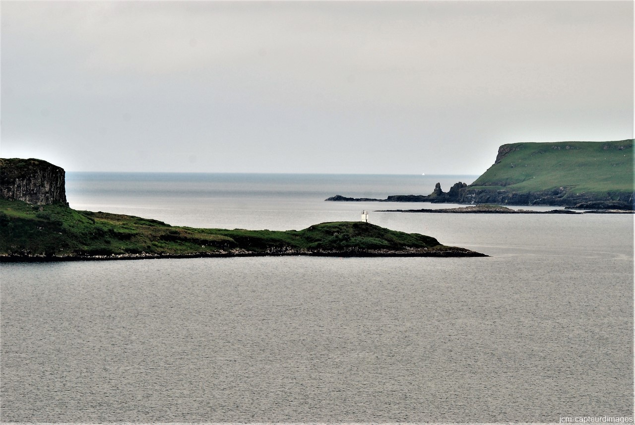 DSC_3381