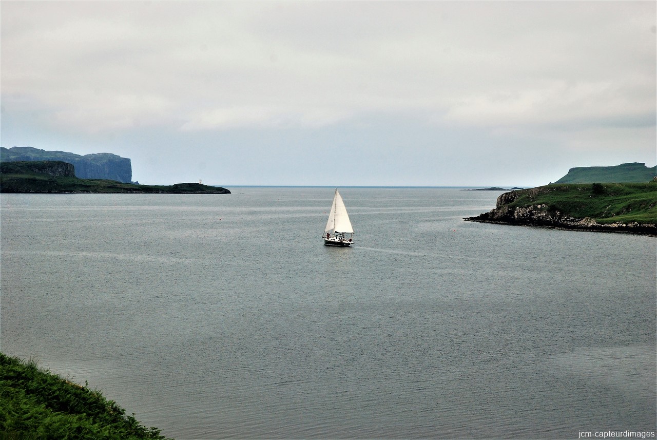 DSC_3387