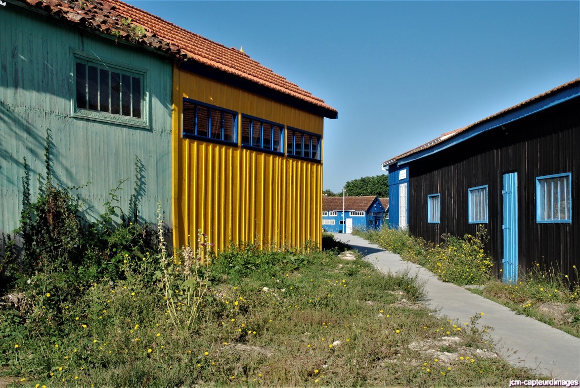 Dsc 34