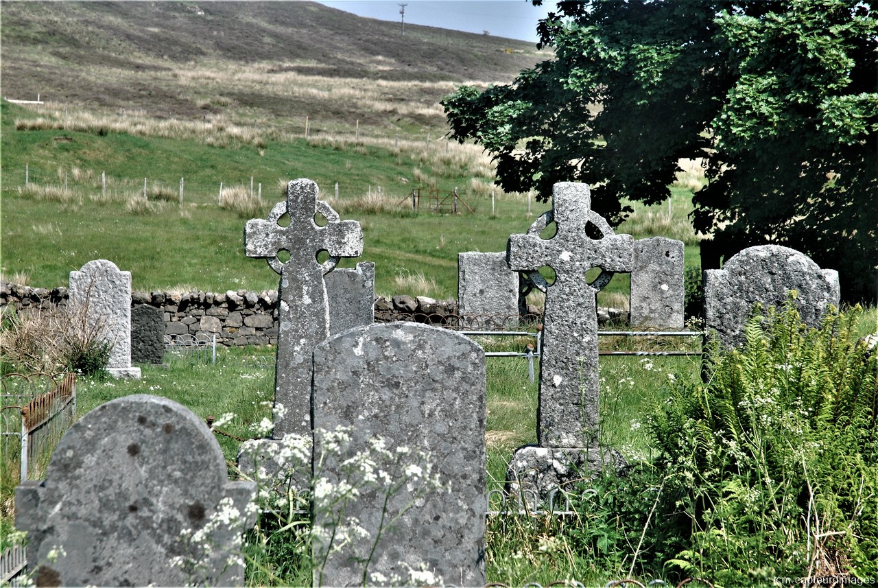 DSC_3477