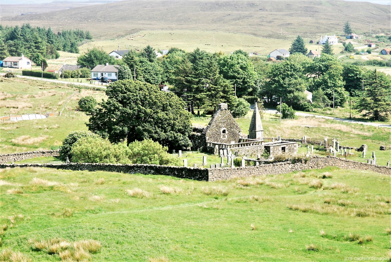 DSC_3485