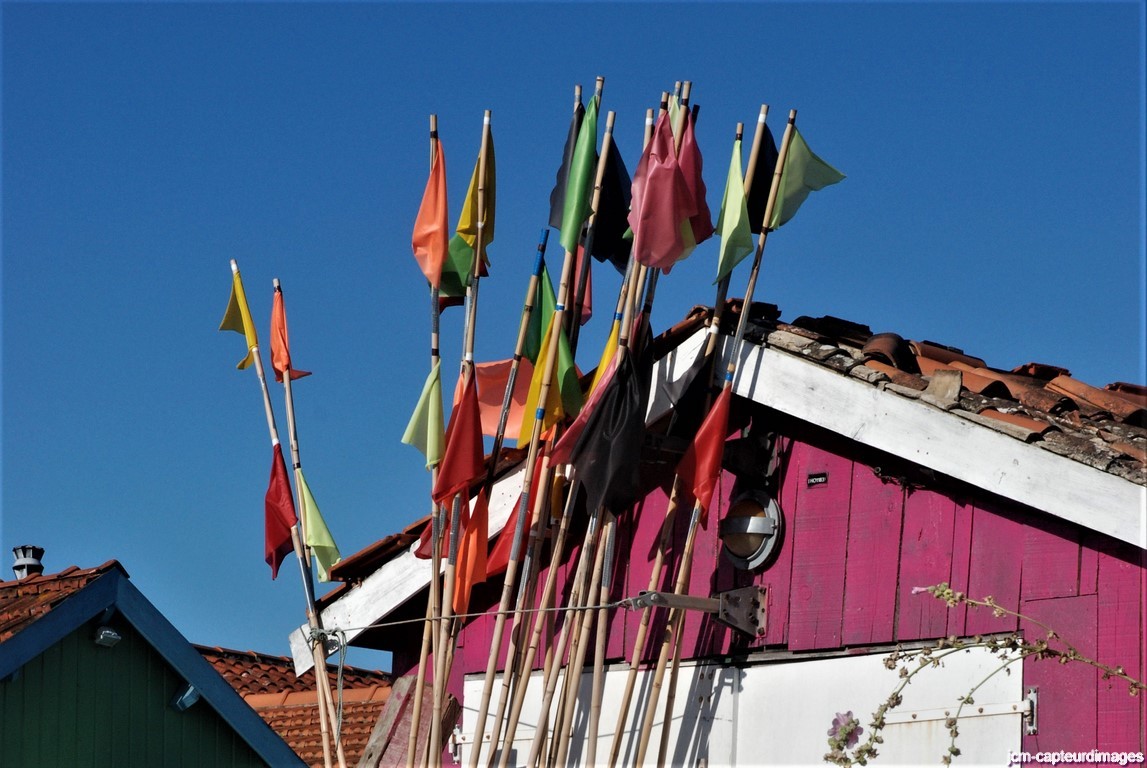 Dsc 36