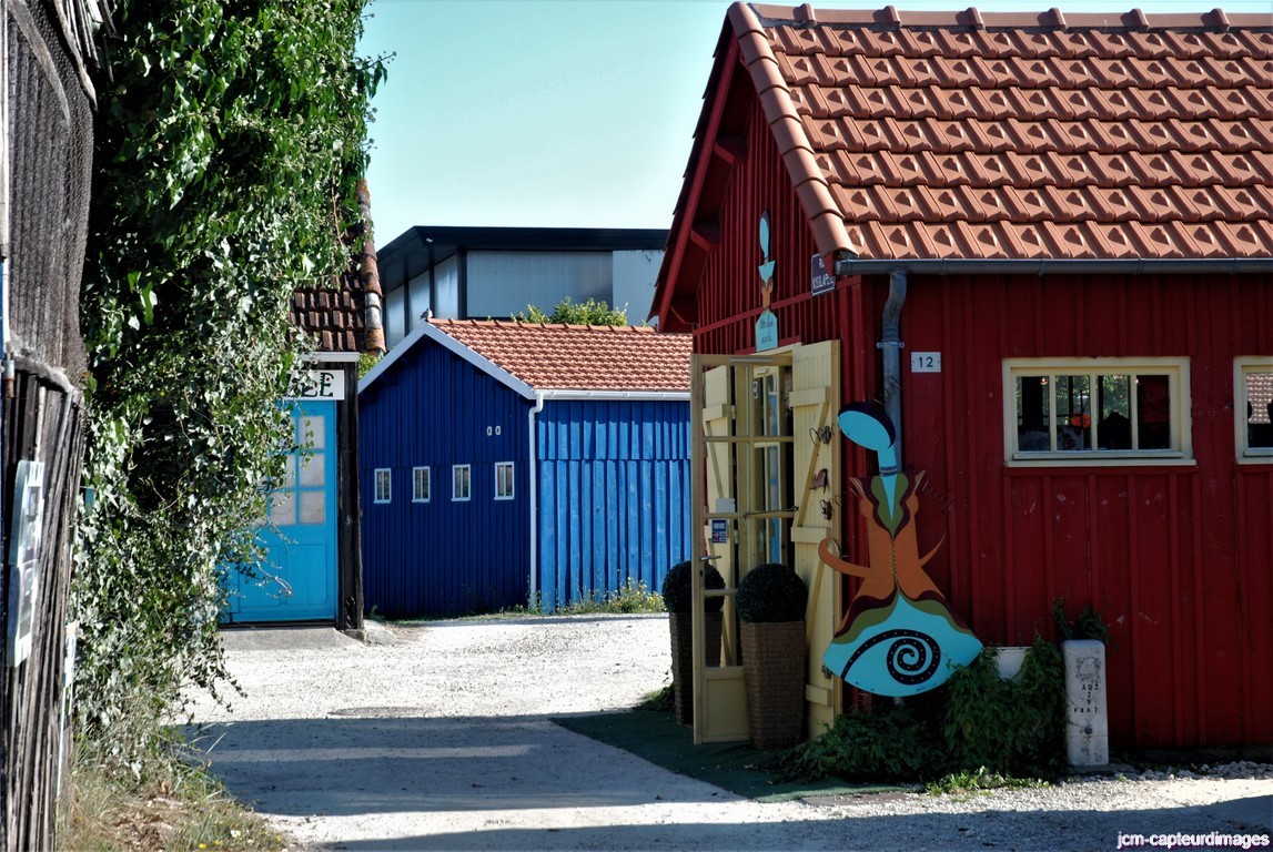 Dsc 40
