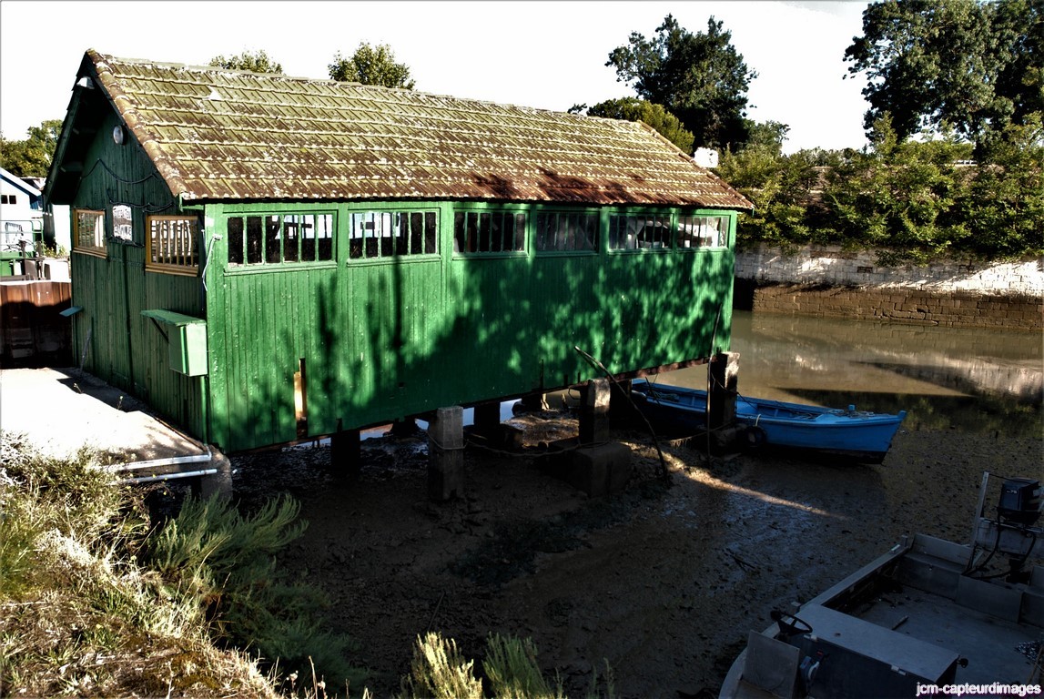 Dsc 41