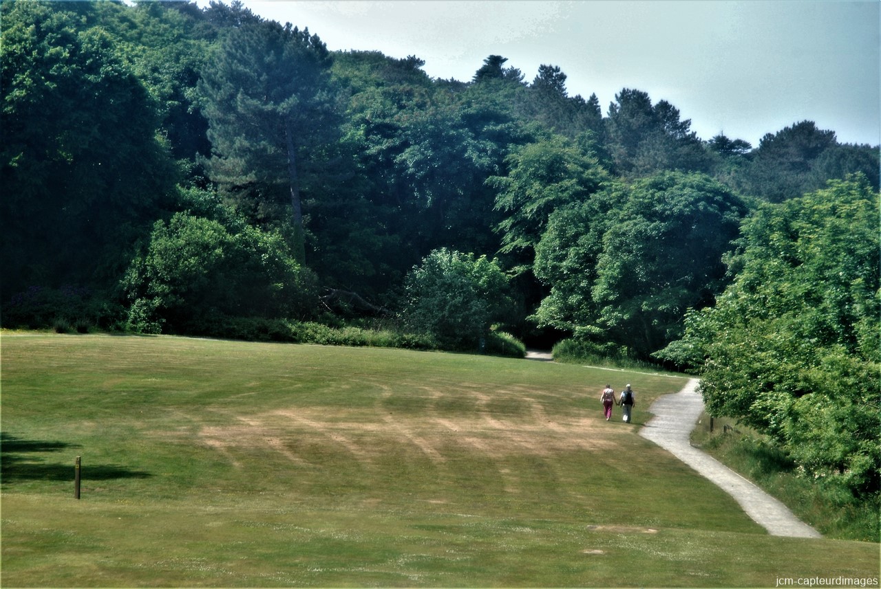 DSC_4218
