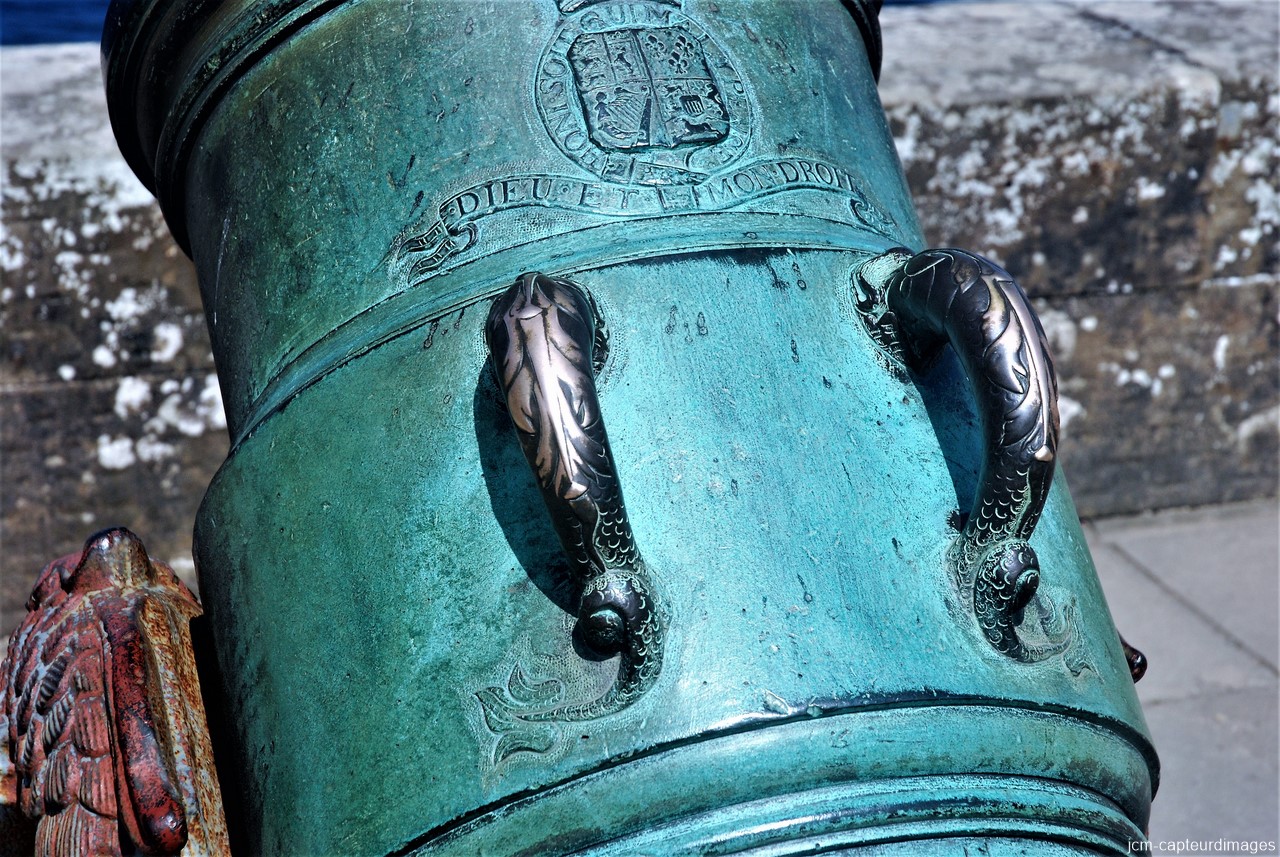DSC_4229