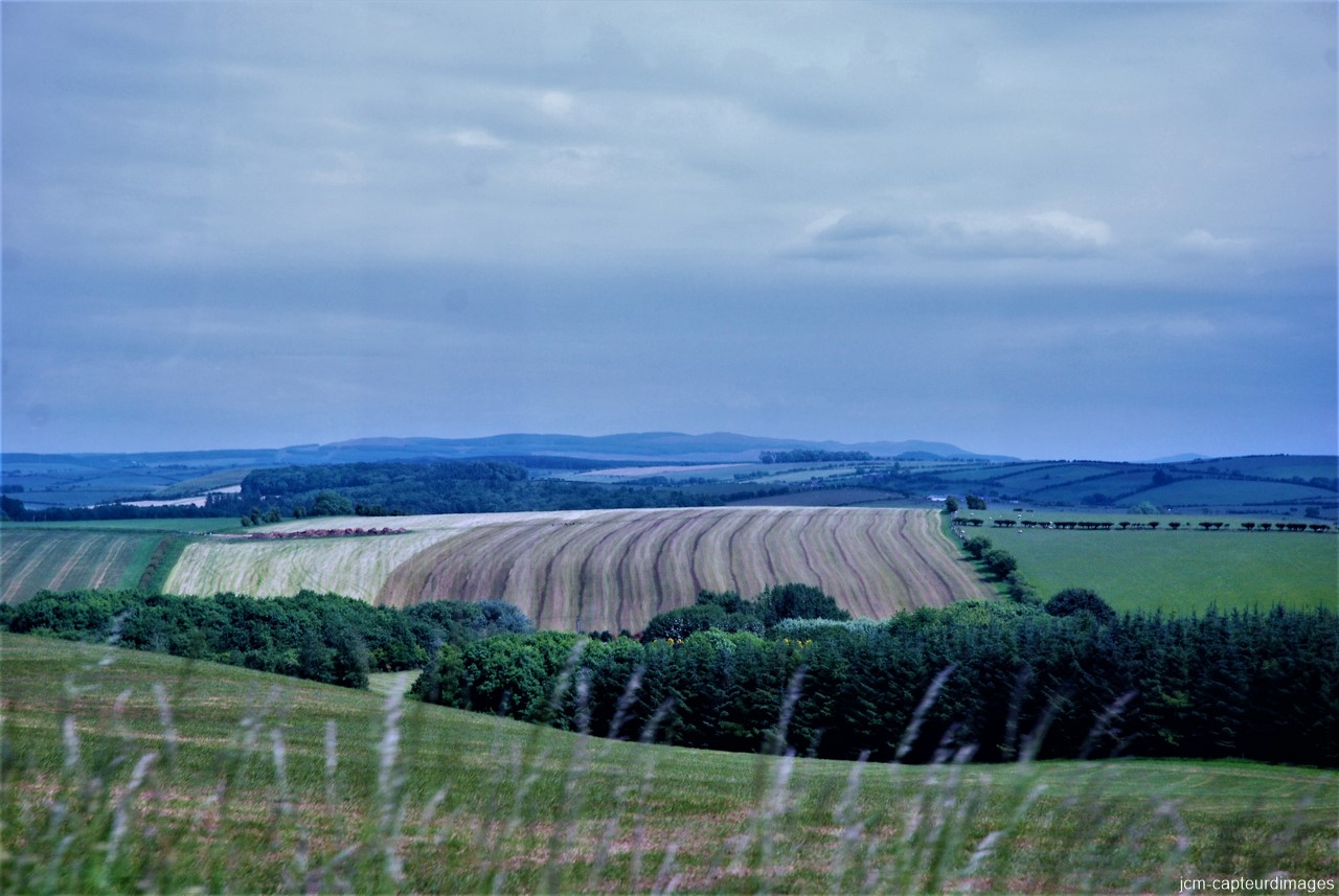 DSC_4272