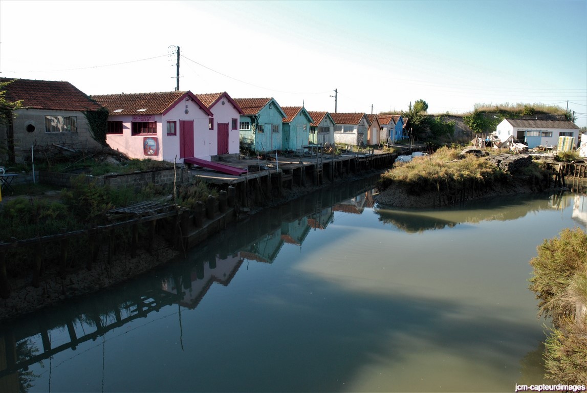 Dsc 43