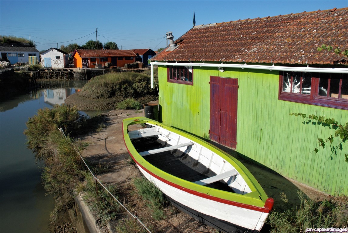Dsc 44