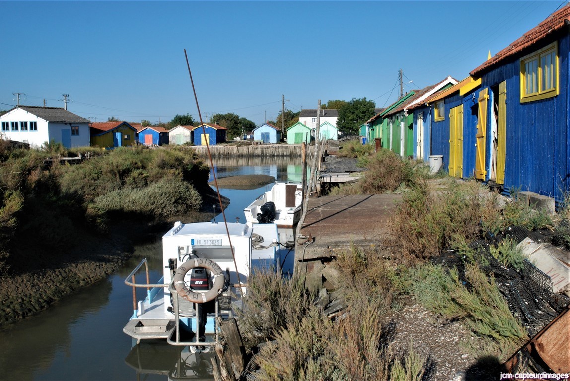Dsc 45