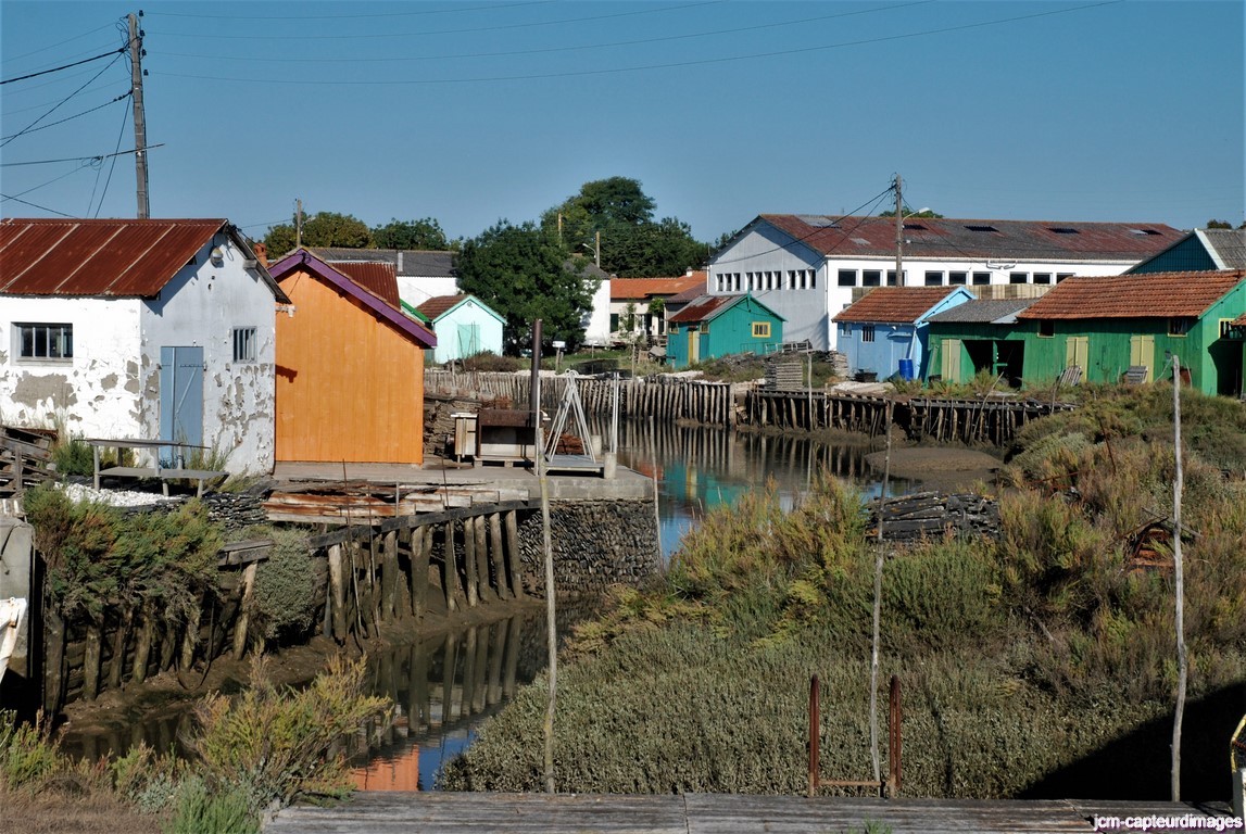 Dsc 46