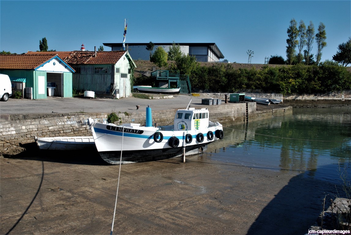Dsc 50