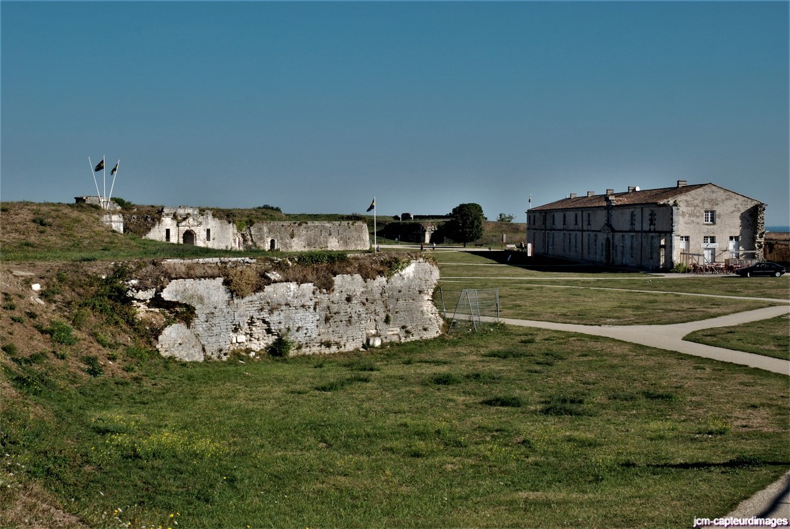 Dsc 79