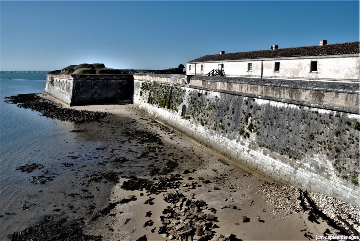 Dsc 87